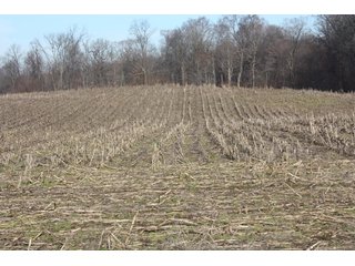Property photo 2 - LAND AUCTION - 60+/- ACRES IN 1 TRACT IN DAVIESS COUNTY, INDIANA
